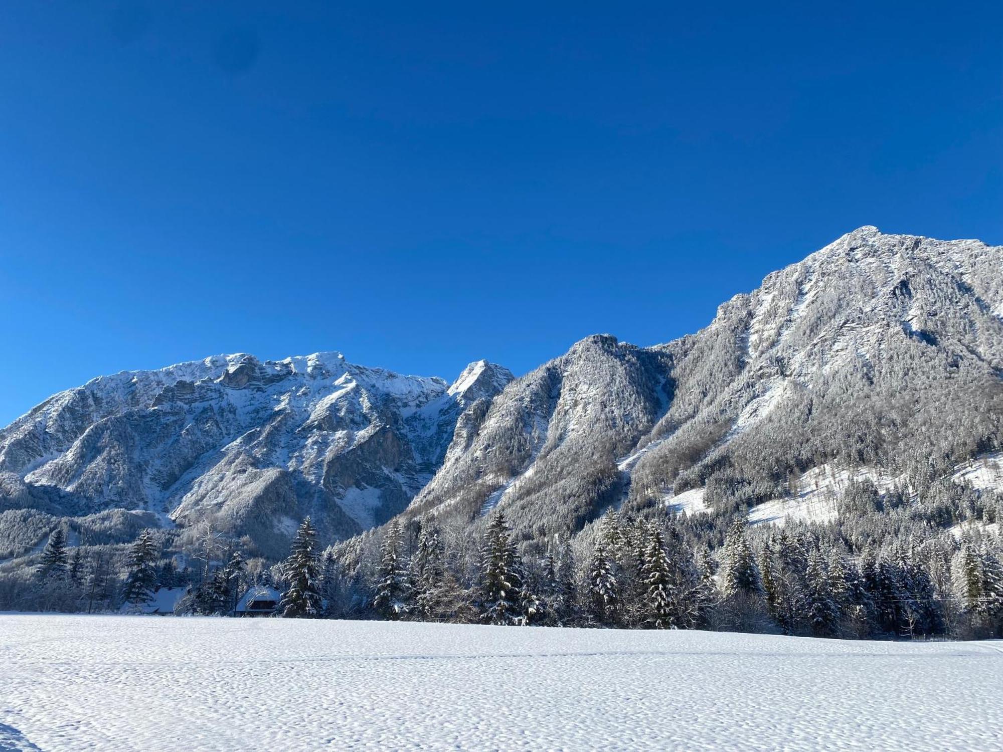 Chalet Am Weissenbach Hinterstoder Εξωτερικό φωτογραφία